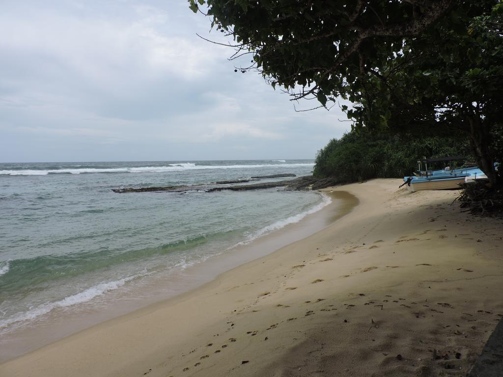 Paradise Beach Resort & Diving School Mirissa Exterior foto